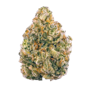 Best Indica Strains Europe