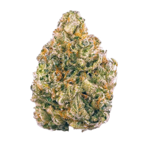 Best Indica Strains Europe