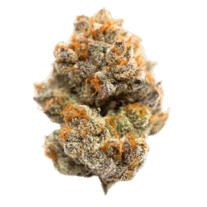 sativa thc marijuana europe