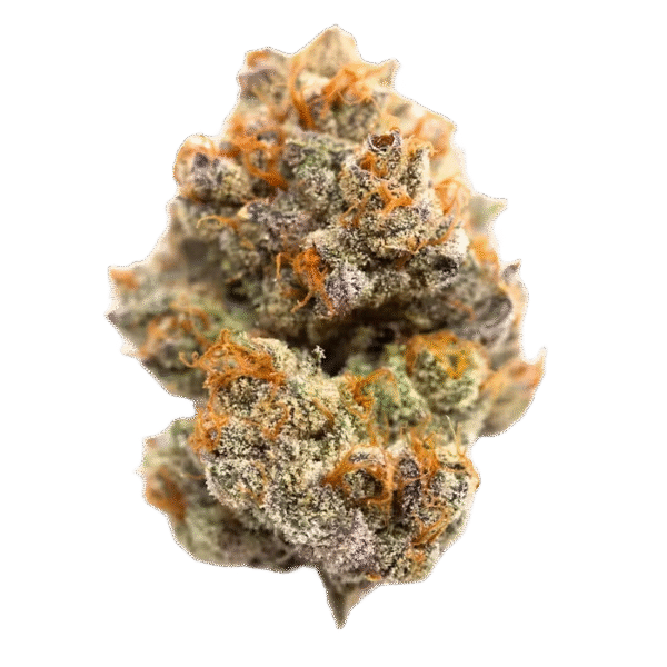 sativa thc marijuana europe