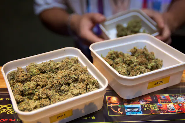 buy marijuana online europe. buy cannabis online europe. buy weed online europe