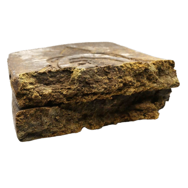 Nepalese Camel Hash Europe