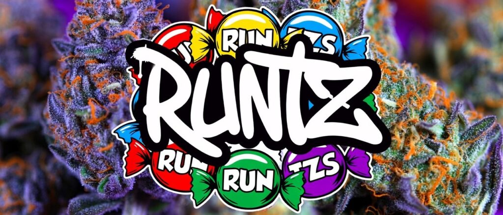Runtz herb strain profile