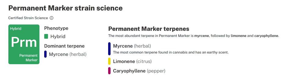 permanent_marker_strain_europe