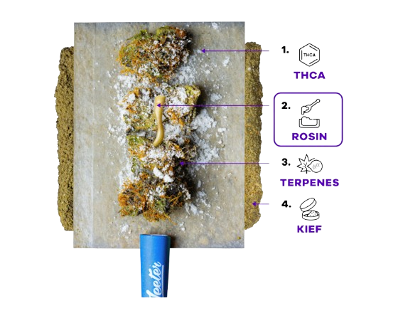 Apples and banana jeeter | Quad-Infused Pre-Rolls Jeeter